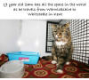 Pet Transport Gallery